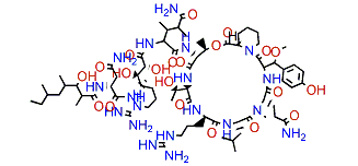 Neamphamide D